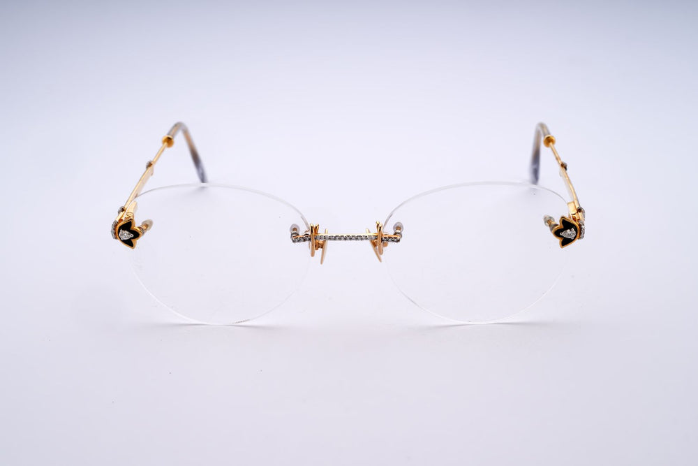 SPECTRA VISION SIGNATURE GLASSES