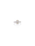 Celestial Halo Diamond Ring in 18K White Gold