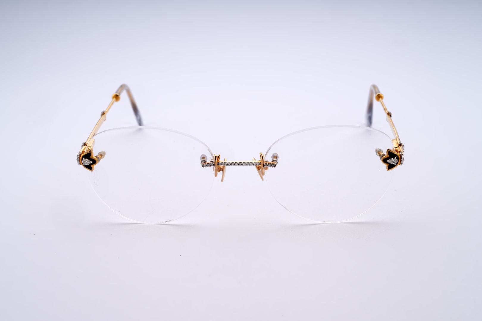 SPECTRA VISION SIGNATURE GLASSES